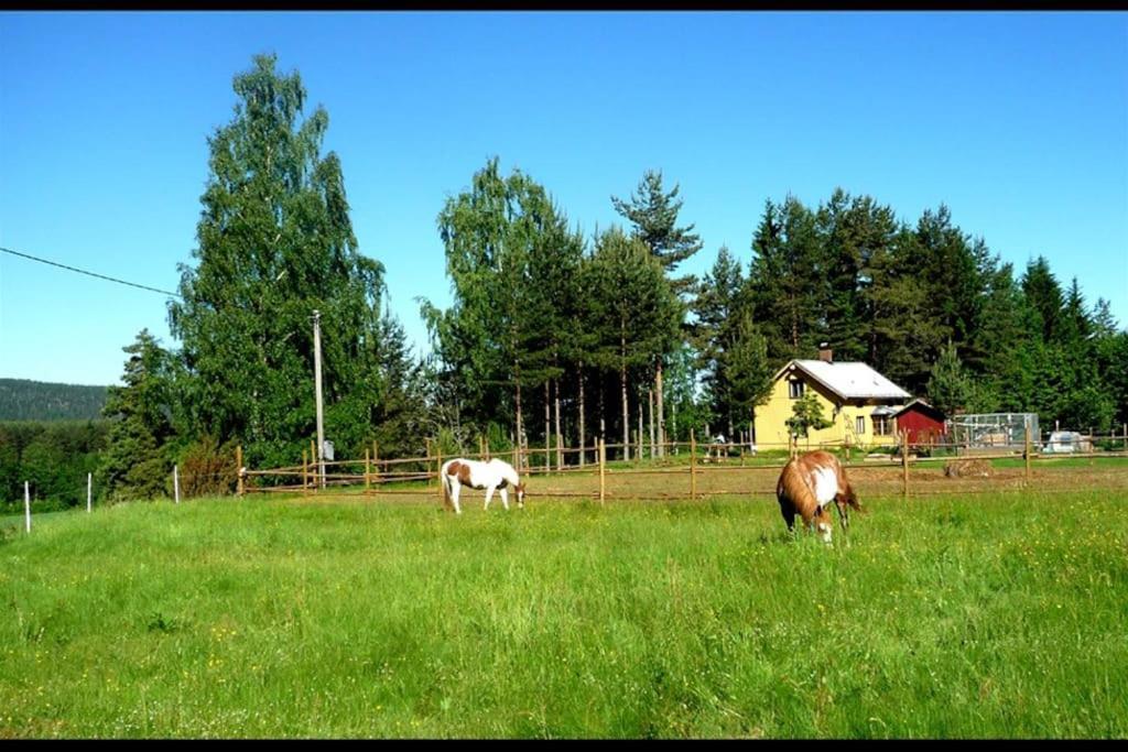 Little Forest House "Our Little Farm" Eksharad ภายนอก รูปภาพ