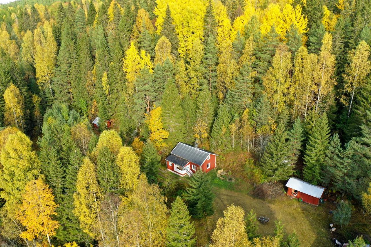 Little Forest House "Our Little Farm" Eksharad ภายนอก รูปภาพ